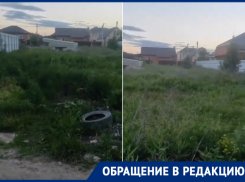 «Высокая трава, клещи, змеи и свалка мусора»: волгодонцы рассказали об опасном соседстве с заброшенным участком 