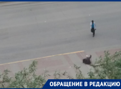 «Сердце кровью обливается»: сидя на холодном бетоне старики вынуждены ждать общественный транспорт в Волгодонске 