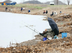 Таранька, судак и сазан: волгодонские рыбаки заполонили залив и гордятся уловом