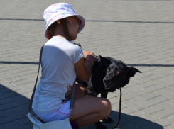 В Волгодонске уже сегодня пройдет акция в помощь бездомным животным