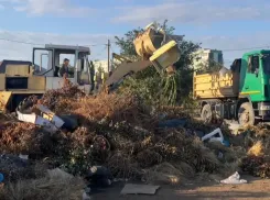 Листва под запретом: с 1 сентября россиян ждут новые правила утилизации отходов