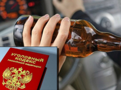 В Волгодонске за июнь возбудили шесть уголовных дел против пьяных водителей