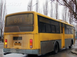 Какой автобус будет ходить к месту крещенской купели в Волгодонске 