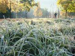 Придут ли заморозки в Волгодонск: МЧС предупреждает о возможном похолодании на Дону