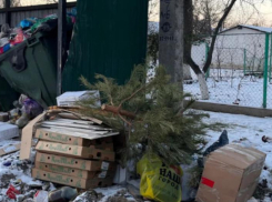 Инспекторы наказали УК «ЖРЭУ-5» за кучу мусора на контейнерной площадке 