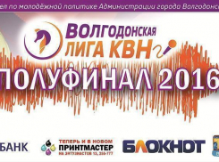 За путевки в финал Волгодонской лиги КВН сразятся семь команд из Ростова и Волгограда