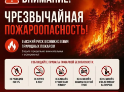МЧС объявило чрезвычайную пожарную опасность в граничащих с Волгодонском районах 