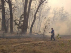На Волгодонск надвигается ливень, а в области сохранится чрезвычайная пожароопасность 