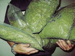 Под Волгодонском у местного жителя обнаружили несколько килограммов марихуаны