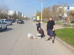 39-летнюю волгодончанку сбил автомобиль на Черникова в Волгодонске 