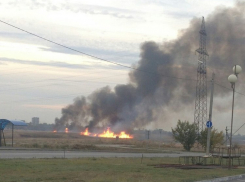 В Волгодонске огонь охватил оба берега Сухо-Соленовской балки 