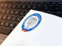 Новый год начинается с повышения ставки НДС: как это повлияет на жизнь людей 