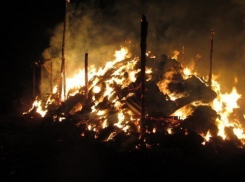 В Мартыновском районе из-за пожара коровы лишились запаса сена