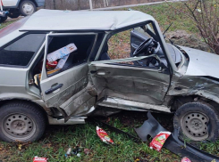 Новорожденная девочка получила травмы в ДТП на трассе Ростов-Волгодонск