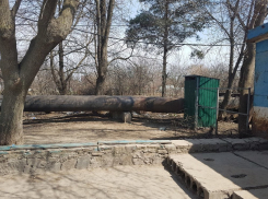 Отсутствие общественного туалета - глобальная проблема, - волгодонцы 