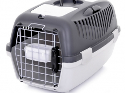 Не будка, а переноска для собак: что следует знать владельцам, отправляясь в путешествие