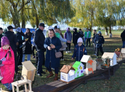 Больше 30 кормушек для птиц разместили на берегу Дона волгодонские школьники 