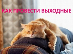 Бег в ползунках и свадебная планерка: Как провести выходные в Волгодонске