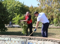 «Дружбу» в Волгодонске вычистили от мусора