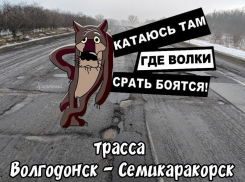 В соцсетях высмеяли трассу «Волгодонск-Ростов» мемом про дороги, на которых бояться испражняться даже дикие животные