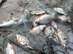 Ночных браконьеров задержали в акватории Цимлянского водохранилища