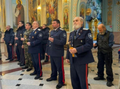 Правительство области передало цимлянских цыган под контроль казаков
