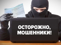 Страховые мошенники ухудшают репутацию Ростовской области
