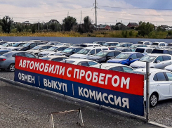 Автомобили престижных марок в автосалоне «Регион Моторс»