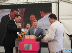 Не помешает ли украинский кризис строительству зерноперерабатывающего завода в Волгодонске