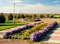 В Волгодонске оставят 16 муниципальных цветников