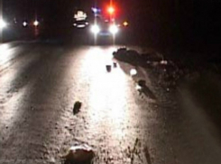 В Волгодонске в новогоднюю ночь водитель ВАЗа сбил трех людей идущих по обочине
