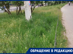 «Бурьян стоит по пояс»: волгодонцы боятся повторения прошлогодней ситуации с повсеместными «джунглями»