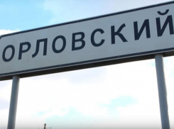 За убийство двух котят осудили жителя Орловского района 