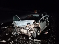 Условный срок получил водитель «Мерседеса», виновный в смертельном ДТП на трассе Волгодонск-Морозовск