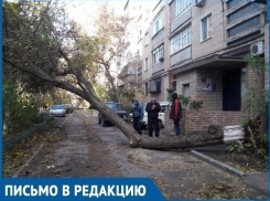 Летающие тарелки и падающие деревья: как Волгодонск переживает ураганный ветер 