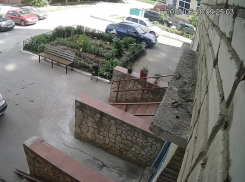 Пенсионеры вернули на место украденные ночью горшки с цветами