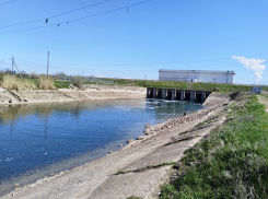 Оросительный канал в Волгодонске начали наполнять водой раньше обычного времени