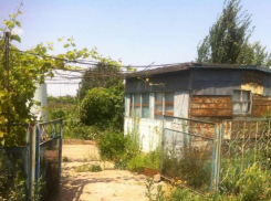 Календарь Волгодонска: 61 год назад в городе появились первые дачи и дачники