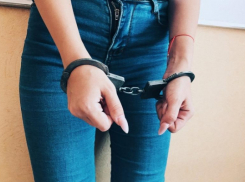 «Подобрав телефон на улице, нарвалась на статью»: полицейские Волгодонска задержали подозреваемую в краже