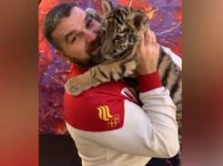 Экс-волгодонец Михаил Зарецкий и его тигренок поздравили волгодонцев с Новым годом