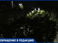 «Идешь на работу и молишься при встрече с ними»: волгодонцы о стае бродячих собак на 30 лет Победы