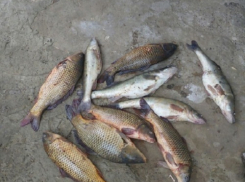 В Волгодонске рыбак поймал рыбу, а его поймали сотрудники полиции