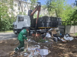 Собирать и вывозить крупногабаритные отходы в Волгодонске будут две современные машины