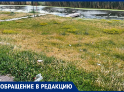 «Деревья засохли, пруд цветет и воняет»: жители  «Города Счастья» пожаловались на состояние микрорайона