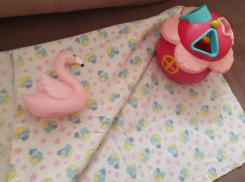 Волгодончанок признали одними из самых малорожающих женщин в регионе