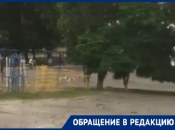 Стая собак поселилась на стадионе школы №23 в Волгодонске