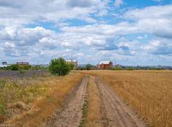 Сегодня в Волгодонске ожидается дождь с грозой