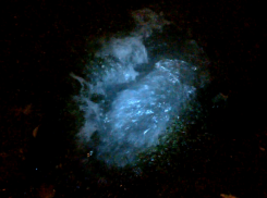 Бьющий из под земли «гейзер» за ночь затопил магазины и жилые дома Волгодонска