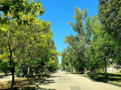 Жара до +34 градусов ждет волгодонцев в День лени 