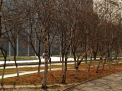 Пасмурно и морозно будет в Волгодонске в последний выходной день